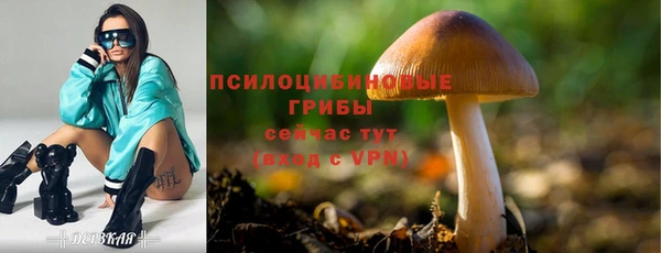 первитин Богородск