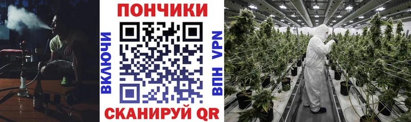 цены наркотик  Болохово  Бошки Шишки THC 21% 